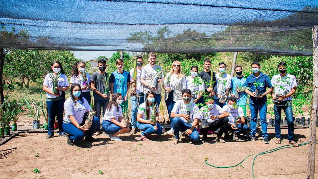 DSC_0422-(1) Agroflorestas